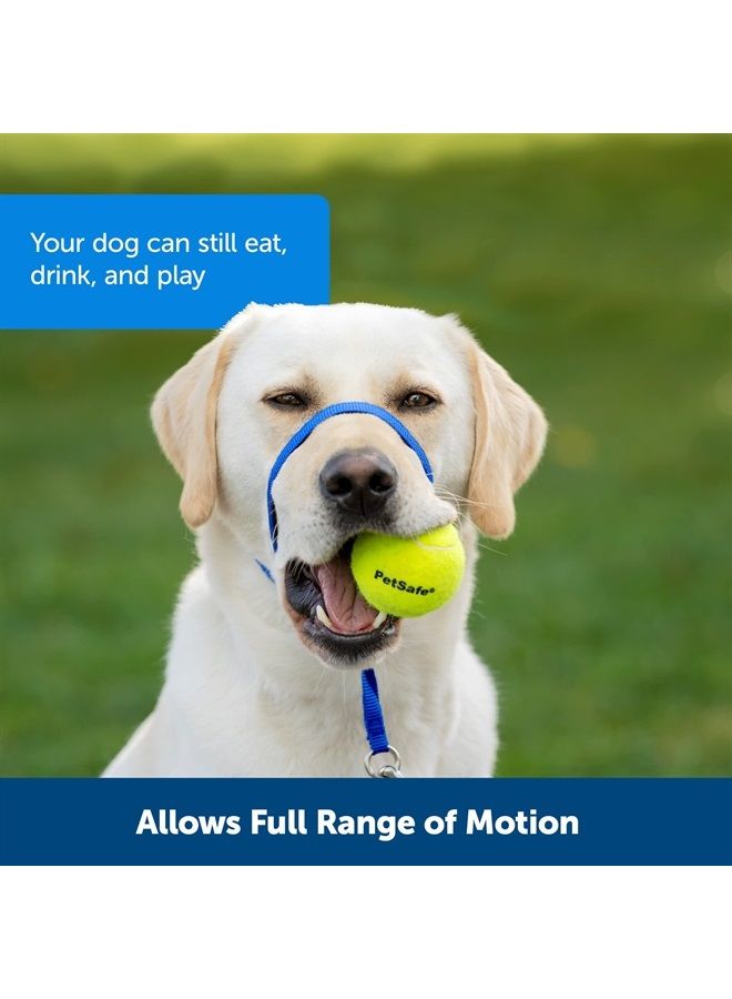 PetSafe Gentle Leader No-Pull Dog Headcollar - The Ultimate Solution to Pulling - Redirects Your Dog's Pulling For Easier Walks - Helps You Regain Control - Medium , Deep Purple