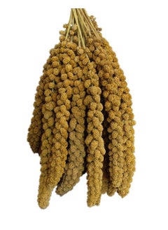 omypets OMYPETS YELLOW MILLET BIRD TREATS 150G  - Image 2