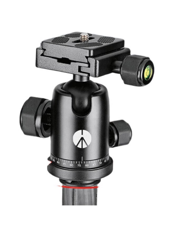 Manfrotto Tripod, Element Series, Carbon Fiber Reverse Folding Large Ball Head, Camera Dslr Mirrorless Photography And Videography Rotary Lock Tripod, Mkeleb5Cf-Bh - Image 2