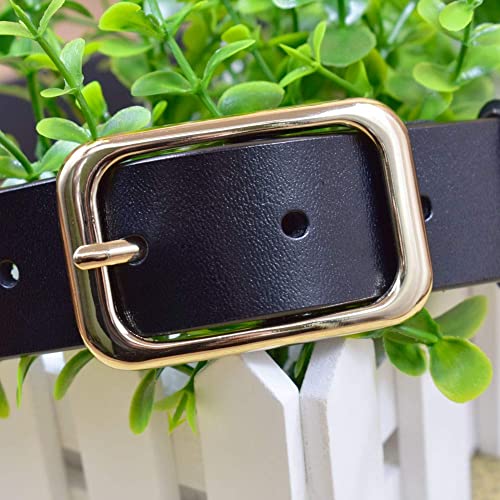 VONSELY Leather Belts for Women, Genuine Leather Womens Belts with Gold Buckle, 105CM Black Belt - Image 3