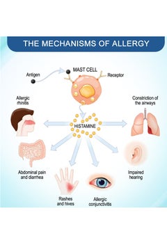 Sumifun Allergy  Care Cream For Skin Allegry Skin Itching Skin Redness And Swelling 20g  - Image 3