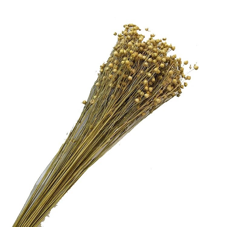 Bluejw Real Dried Flower Arrangements - Natural Dried Flax & Mixed Dried Plants for Home Decor, Events, Weddings, Bouquets - Image 2