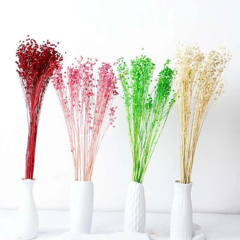 Bluejw Real Dried Flower Arrangements - Natural Dried Flax & Mixed Dried Plants for Home Decor, Events, Weddings, Bouquets - Image 4