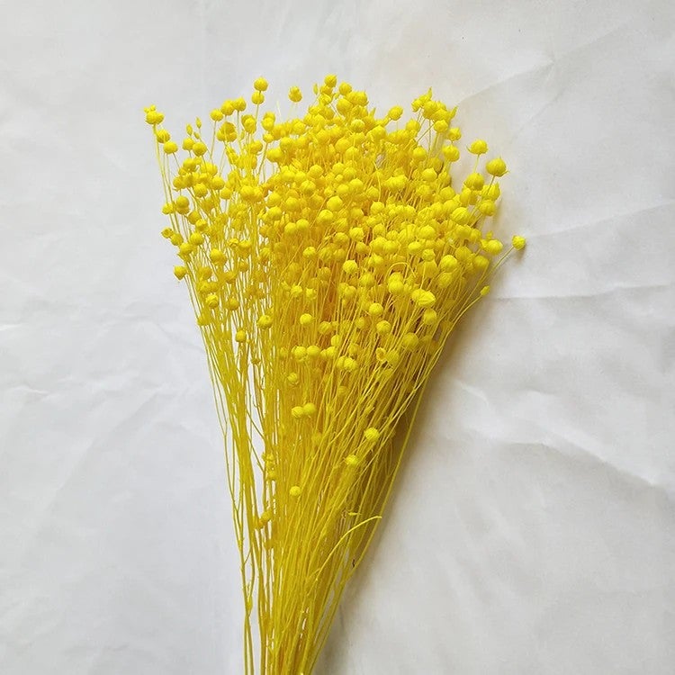 Bluejw Real Dried Flower Arrangements - Natural Dried Flax & Mixed Dried Plants for Home Decor, Events, Weddings, Bouquets - Image 1