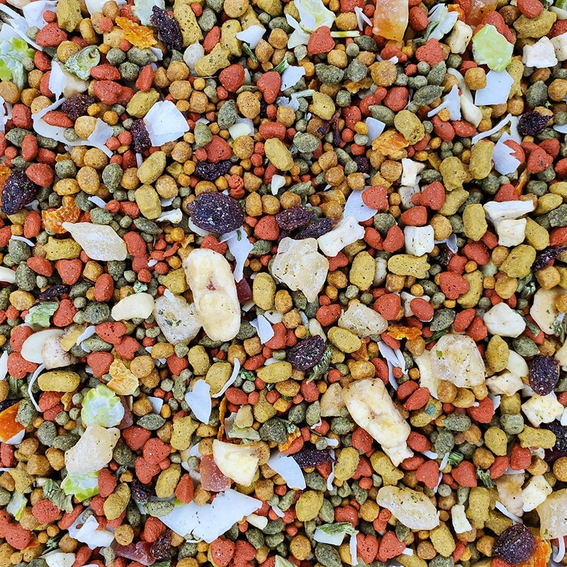 Higgins 2 Pack of Intune Harmony Food for Conures, Cockatiels, Lovebirds and Parrotlets, 2 Pounds Each - Image 3