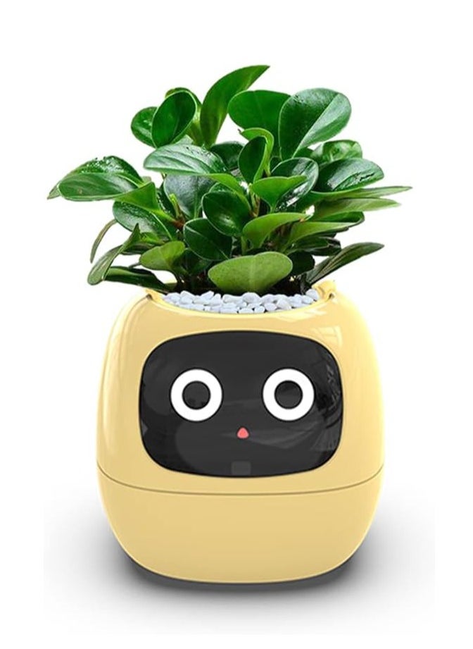 Generic - Tuya Ivy Smart Planter,Endless Fun Over 49 Rich Expressions,7 smart sensors,AI Chips Make Raising Plants Easy and Fun(Yellow) - Image 1