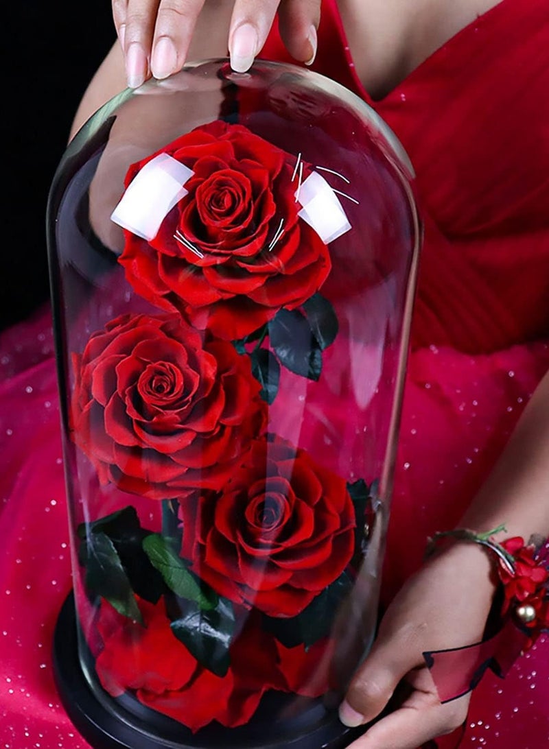 Festive Gallery 3 Red Roses in Glass Dome Real Eternal Rose Preserved Flower with Luxury Gift Box - Image 5