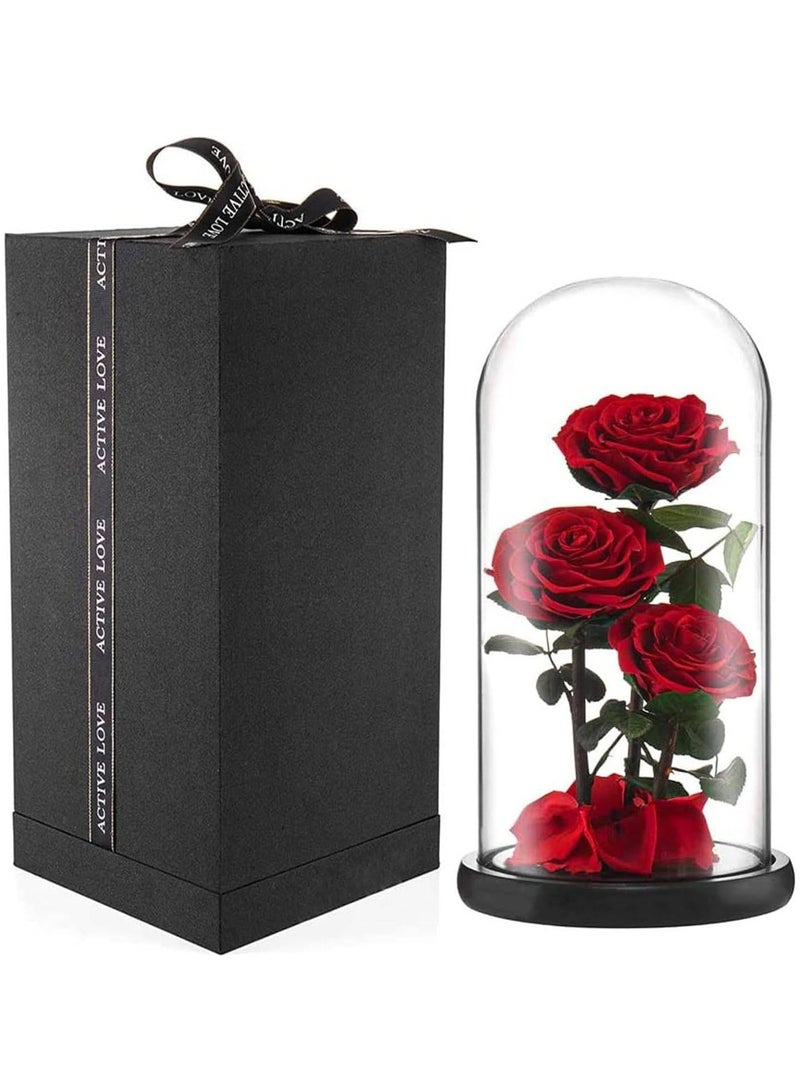 Festive Gallery 3 Red Roses in Glass Dome Real Eternal Rose Preserved Flower with Luxury Gift Box - Image 3