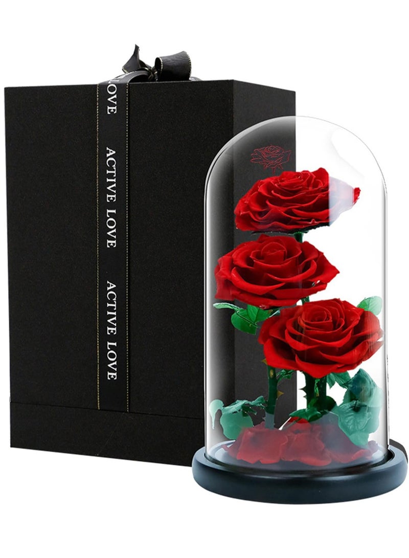 Festive Gallery 3 Red Roses in Glass Dome Real Eternal Rose Preserved Flower with Luxury Gift Box - Image 1