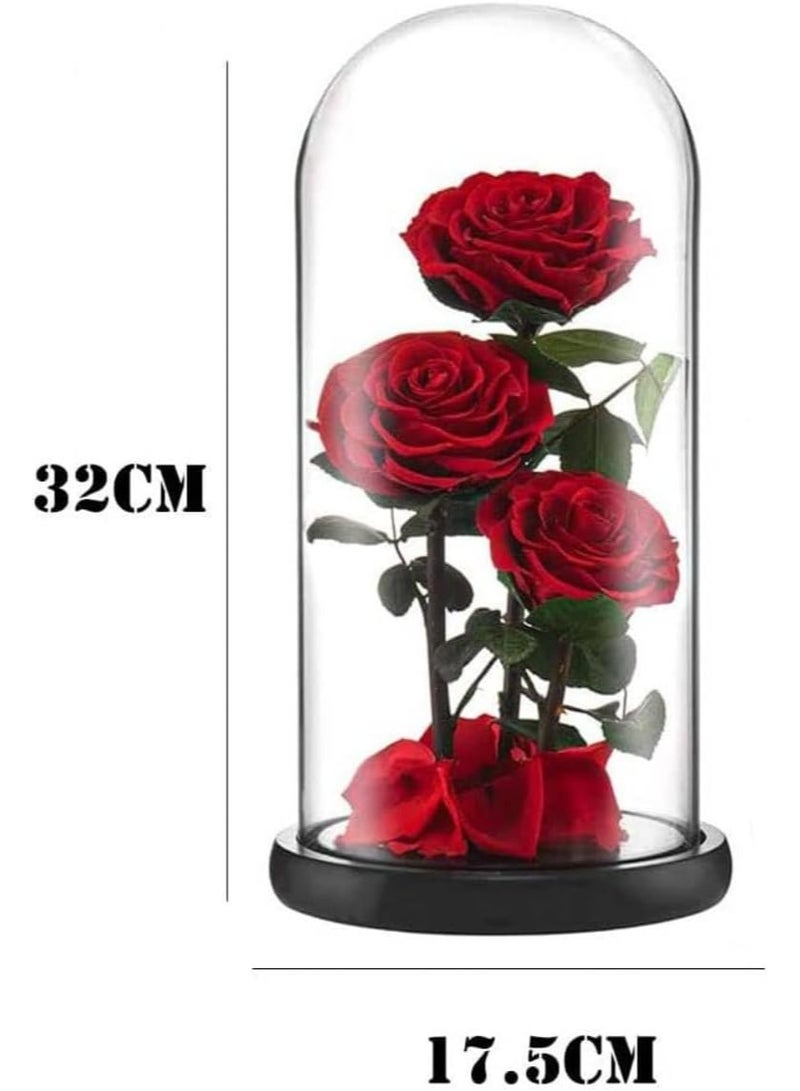 Festive Gallery 3 Red Roses in Glass Dome Real Eternal Rose Preserved Flower with Luxury Gift Box - Image 2