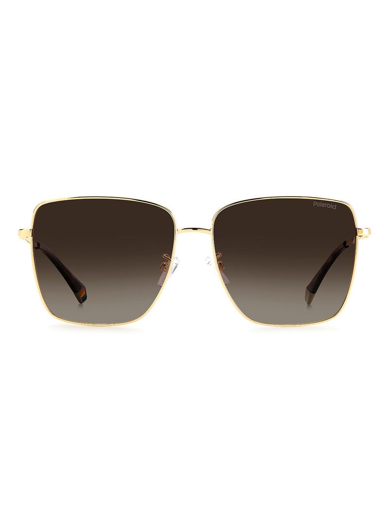 Polaroid Square  Sunglasses PLD 6164/G/S  GOLD HAVN 59 - Image 2