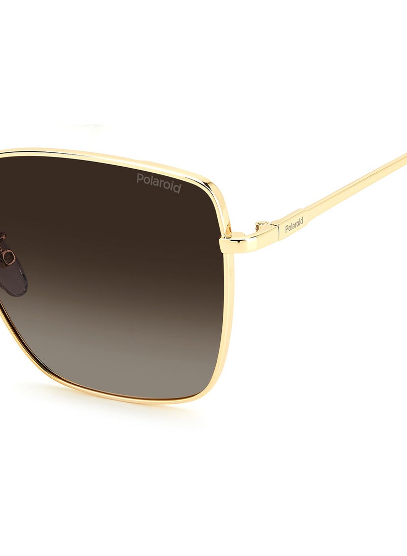 Polaroid Square  Sunglasses PLD 6164/G/S  GOLD HAVN 59 - Image 5