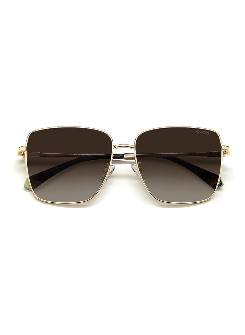 Polaroid Square  Sunglasses PLD 6164/G/S  GOLD HAVN 59 - Image 4