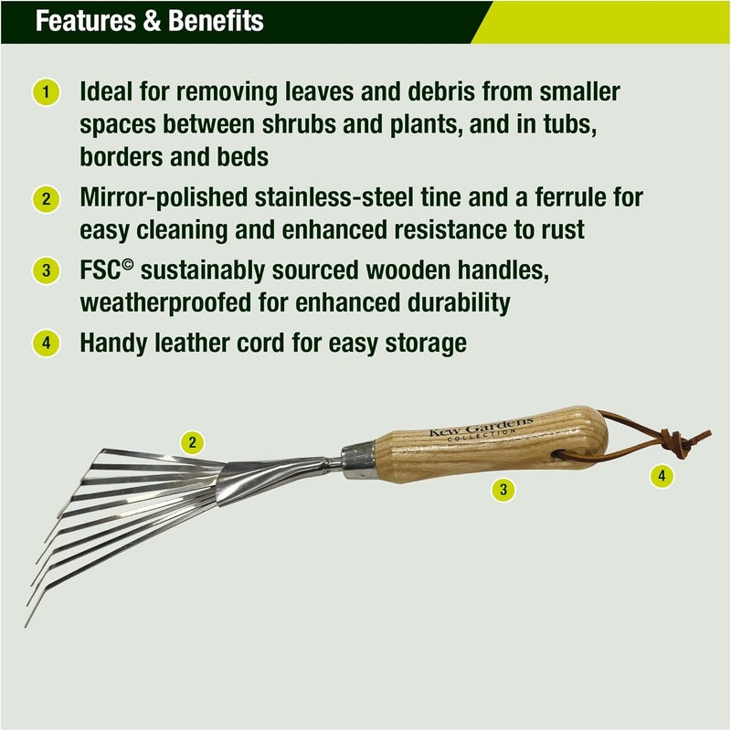Spear  Jackson 5200KEW Kew Gardens Collection Mini Border Rake - Compact Stainless Steel Hand Garden Rake - Narrow Tines for Lawn Edges, Flowerbeds & Paths, Hardwood FSC® Handle, Rust-Resistant - Image 2