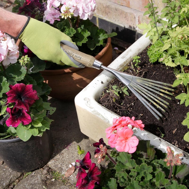 Spear  Jackson 5200KEW Kew Gardens Collection Mini Border Rake - Compact Stainless Steel Hand Garden Rake - Narrow Tines for Lawn Edges, Flowerbeds & Paths, Hardwood FSC® Handle, Rust-Resistant - Image 5