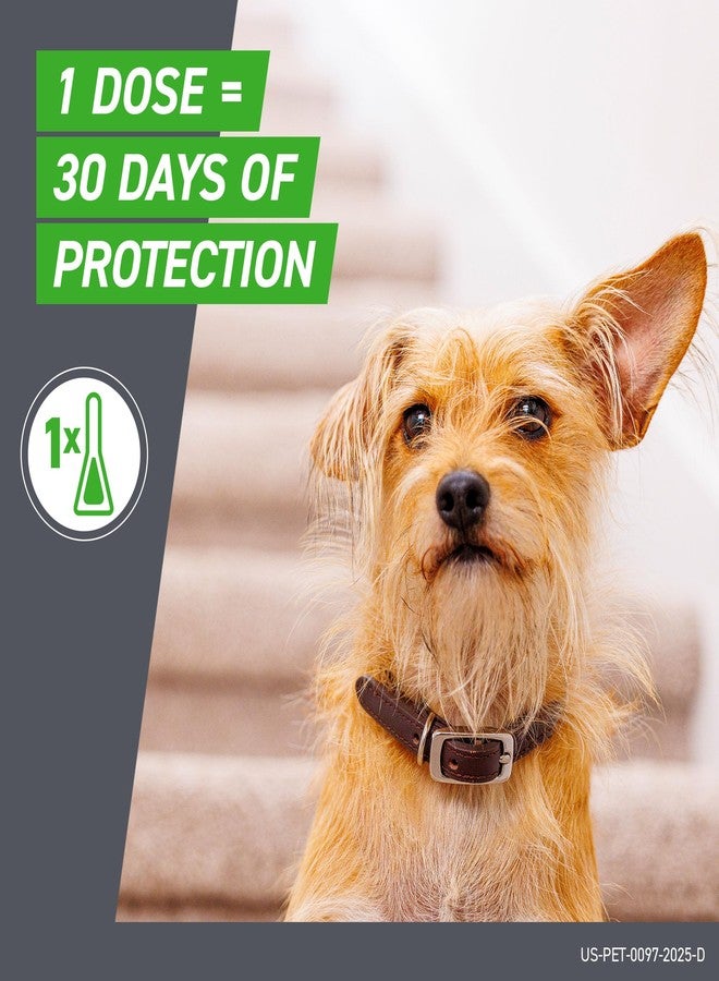 FRONTLINE Plus Flea and Tick Treatment for Medium Dogs Up to 23 to 44 lbs. 3 Treatments - Image 5