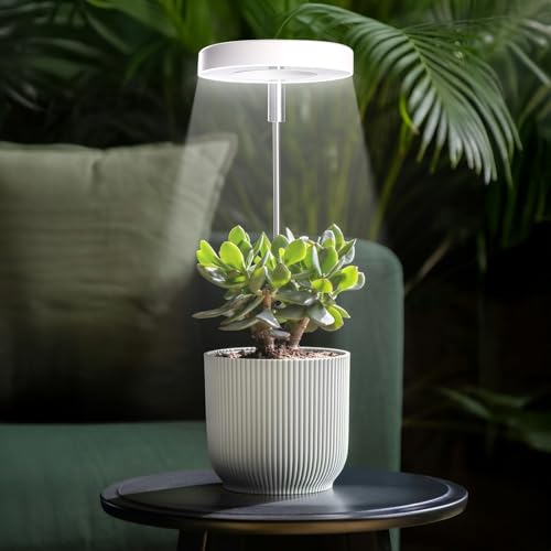 Qicodu Grow Lights for Indoor Plants Small Potted - Full Spectrum, Auto 3/9/12H Timer, 10-Level Dimming & Adjustable Height - Compact Grow Light for Succulents, Herbs, Foliage in Home/Office (White,1PACK) - Image 2