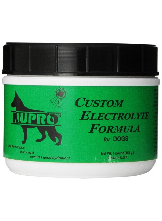 Nupro Nupro Custom Electrolyte Formula for Dogs (1 lb)  - Image 1