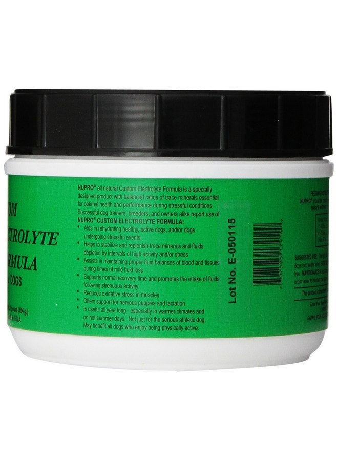 Nupro Nupro Custom Electrolyte Formula for Dogs (1 lb)  - Image 2