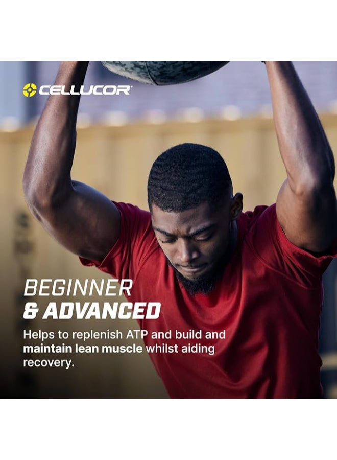 Cellucor C4 COR-Performance Creatine Monohydrate – Unflavored 5g Micronized Creatine per Serving, NSF Certified, Zero Caffeine & Calories Supports Strength & Lean Muscle 306g 90 Servings - Image 5