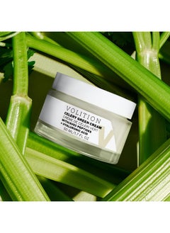 VOLITION Volition Beauty Celery Green Cream with Peptides + Hyaluronic Acid | Lightweight Oil-Free Facial Moisturizer | Minimizes Pores, Improves Firmness & Visibly Reduces Lines & Wrinkles  - Image 5