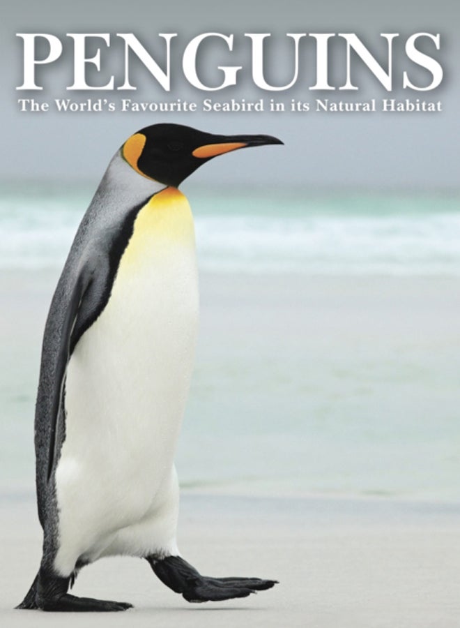 Penguins : Stunning Photographs of the World's Favourite Seabird 