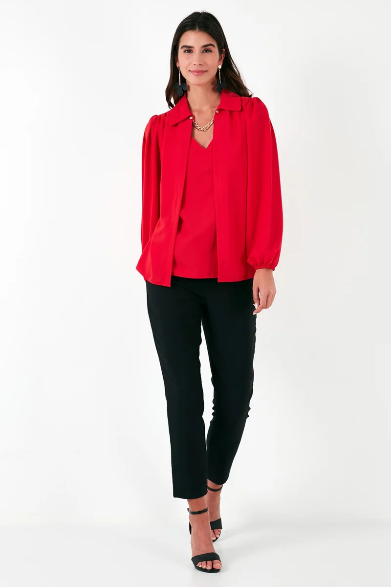 Lela Regular Fit V-Neck Balloon Sleeve Blouse Women's Blouse 611BZ0353