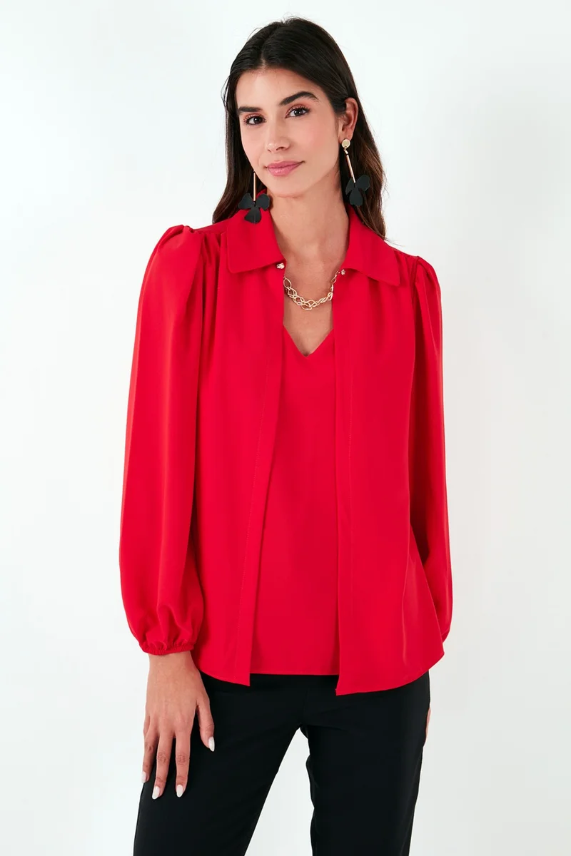 Lela Regular Fit V-Neck Balloon Sleeve Blouse Women's Blouse 611BZ0353