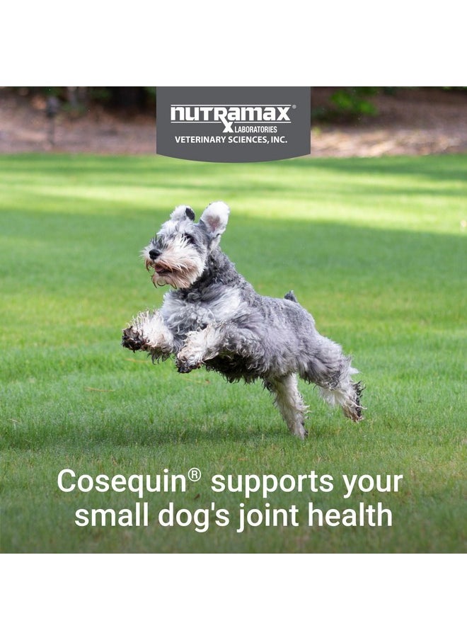 Nutramax Laboratories Nutramax Laboratories Cosequin Plus MSM & Boswellia Mini Sized Soft Chews  - Image 3