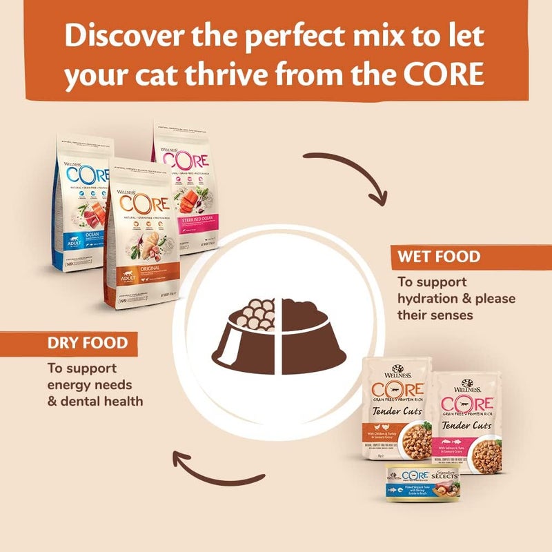 Wellness Core Kitten Turkey & Chicken Dry Food 300 g - Image 5