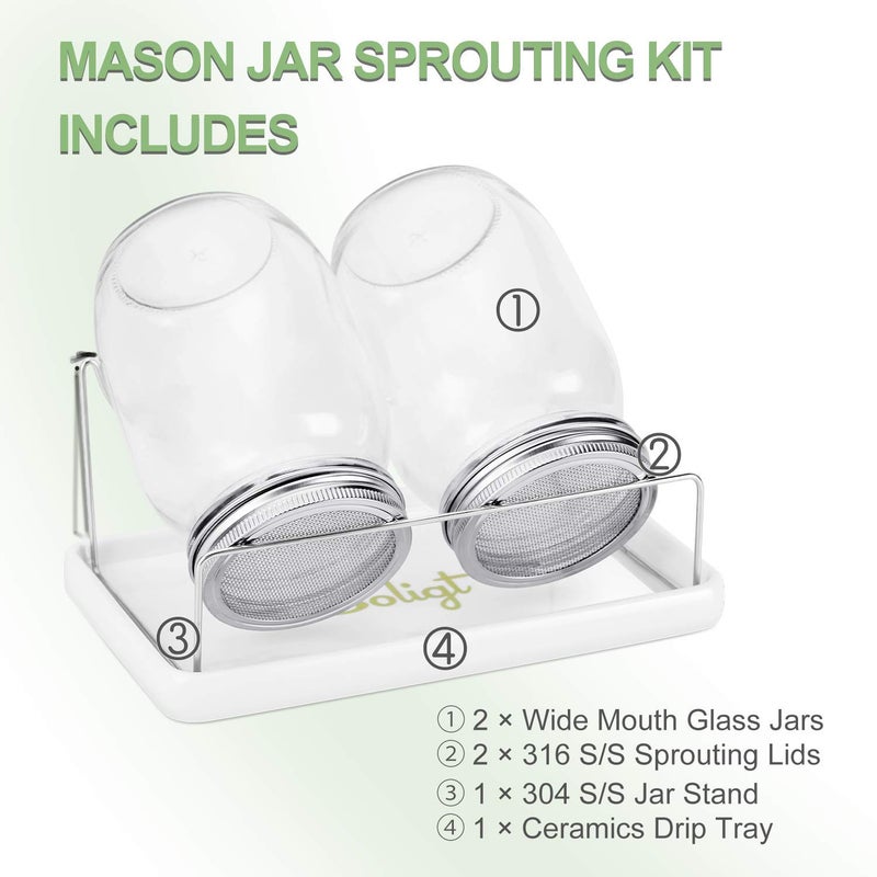 SOLIGT Complete Mason Jar Sprouting Kit - 2 Wide Mouth Quart Sprouting Jars with 316 Stainless Steel Sprouting Lids, Ceramic Drip Tray and Stand - Image 2