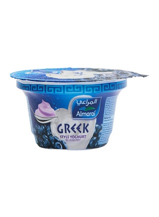 Blueberry Greek Style Yoghurt