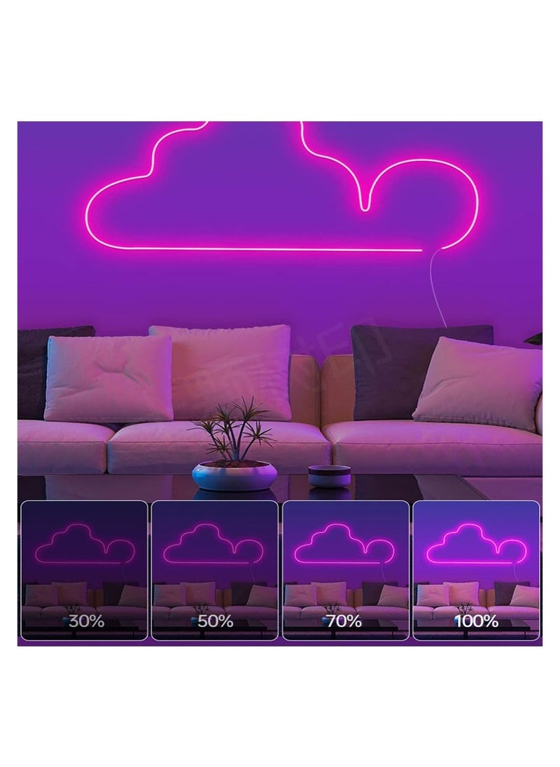 Y&D - Smart Neon Light Strip Wifi DIY 3m with APP Control and Music Sync Voice Activated Connection Alexa Google Suitable for Bedroom Living Room Game Decoration - Image 1