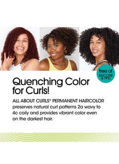 ALL ABOUT CURLS 3V Twisted Plum Permanent Hair Color (Prep + Protect Serum & Hair Dye For Curly Hair) 100% Grey Coverage Nourished & Radiant Curls  - Image 3
