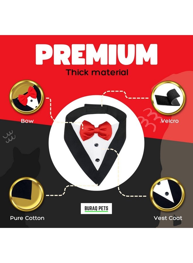 Buraq Pets Dog Tuxedo Bandana, Ideal for Dog Birthday Decorations, Adorable and Comfortable Pet Apparel (XL - Black) - Image 4