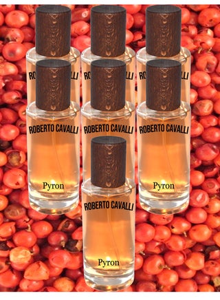 7 Pieces Roberto Cavalli Perfume 50 ml EDP - pzsku/Z89A9D3659056F2DD7D01Z/45/_/1685998690/b13197a0-ac91-4059-844f-d6956ed48b94