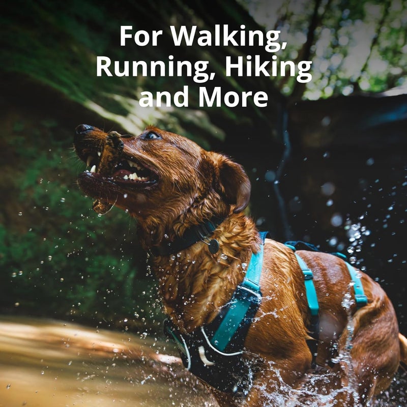 RUFFWEAR رافوير، حزام الكلب فلاجلاين، خفيف الوزن وعاكس، حزام رفع الكلب بدون سحب للمشي، الجري والاستخدام اليومي، أخضر حكيم، صغير - Image 3