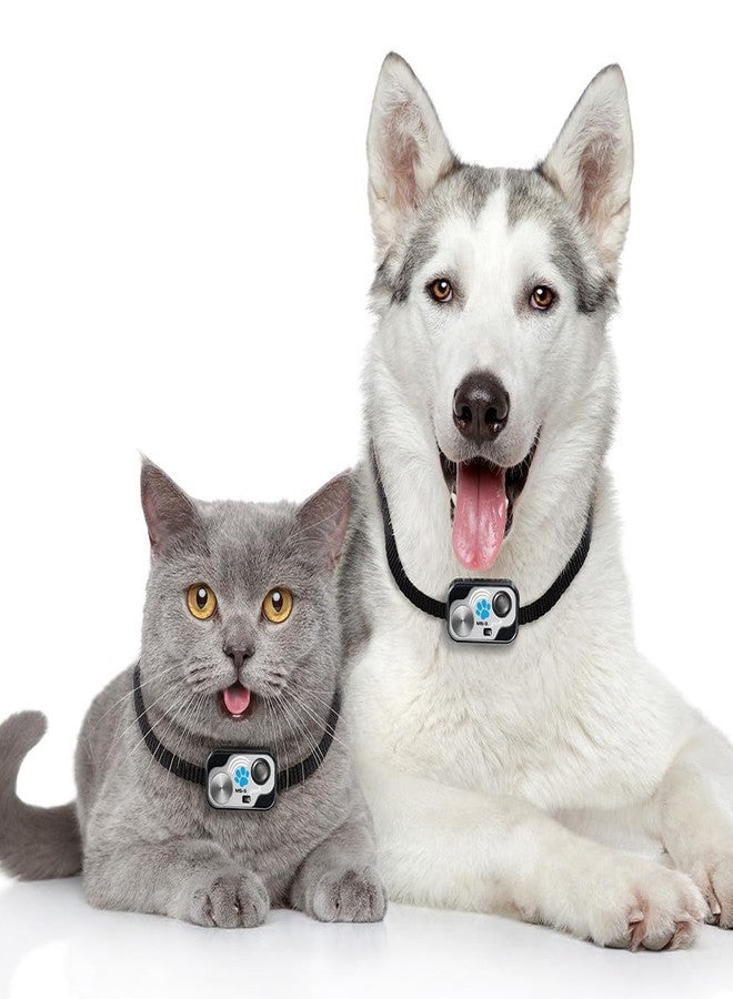طوق باب أوتوماتيكي أصلي للحيوانات الأليفة من نوع MS-5 Power Pet، من إنتاج شركة High Tech Pet Brand. يتضمن بطاريتين مجانيتين. - Image 3