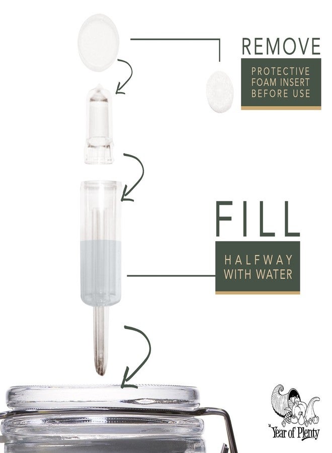 ير أوف بلانتي مجموعة أقفال هوائية خالية من مادة BPA من Year of Plenty - مجموعة من 6 قطع - أقفال مائية للتخمير، والتخمير، والبيرة، والنبيذ، ومخلل الملفوف، والكيمتشي، ومشاريع التخمير الأخرى (6) - Image 4