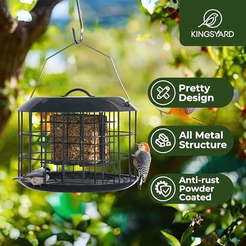 Kingsyard Squirrel Proof Suet Feeder, Cage Bird Feeders for Outdoors Hanging, All Metal, Double Suet Cake Capacity, Tray & Weatherproof, Black - Image 2