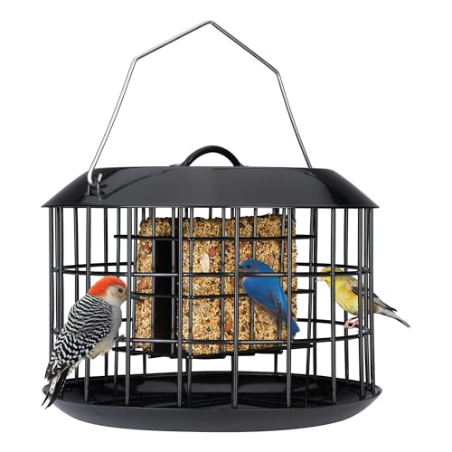 Kingsyard Squirrel Proof Suet Feeder, Cage Bird Feeders for Outdoors Hanging, All Metal, Double Suet Cake Capacity, Tray & Weatherproof, Black - Image 1