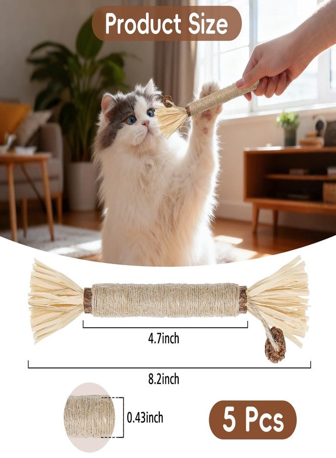 HYSDBAGS 5 Pack Silvervine Sticks Cat Toys, Natural Chew Kitten Teething Toys for Cleaning, Matatabi Catnip Treat Toys, Catmint Silver Vine Sticks for Bored Indoor Kitty - Image 5