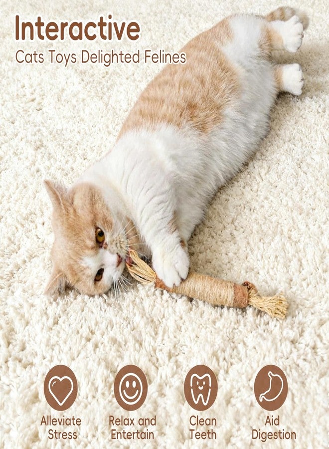 HYSDBAGS 5 Pack Silvervine Sticks Cat Toys, Natural Chew Kitten Teething Toys for Cleaning, Matatabi Catnip Treat Toys, Catmint Silver Vine Sticks for Bored Indoor Kitty - Image 3