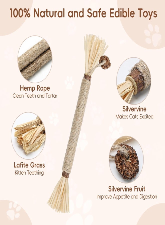 HYSDBAGS 5 Pack Silvervine Sticks Cat Toys, Natural Chew Kitten Teething Toys for Cleaning, Matatabi Catnip Treat Toys, Catmint Silver Vine Sticks for Bored Indoor Kitty - Image 2