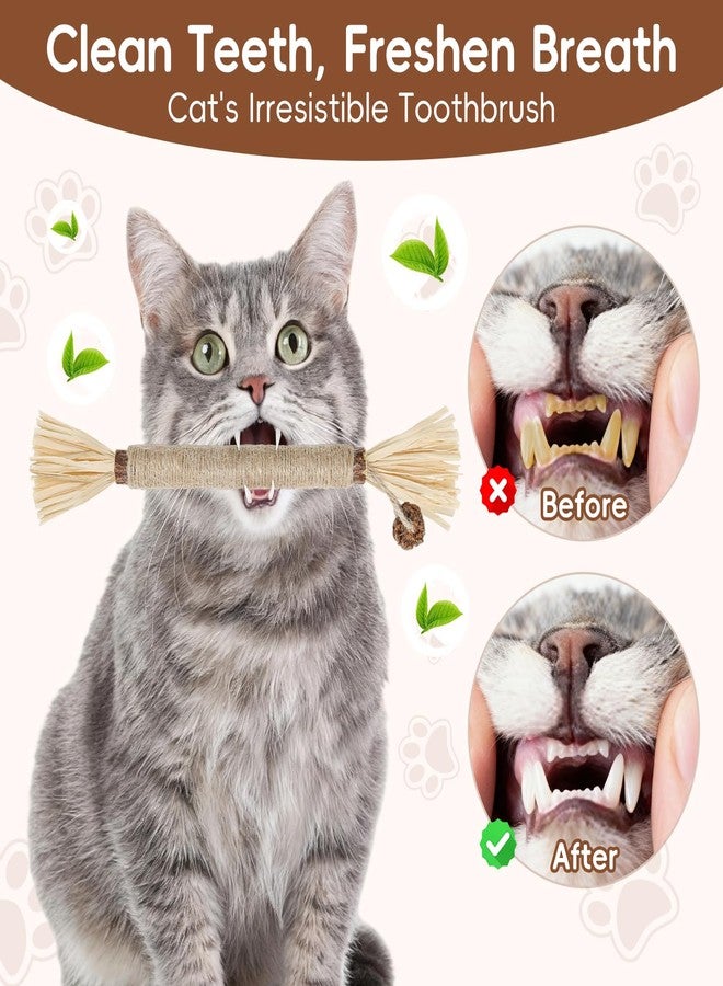 HYSDBAGS 5 Pack Silvervine Sticks Cat Toys, Natural Chew Kitten Teething Toys for Cleaning, Matatabi Catnip Treat Toys, Catmint Silver Vine Sticks for Bored Indoor Kitty - Image 4