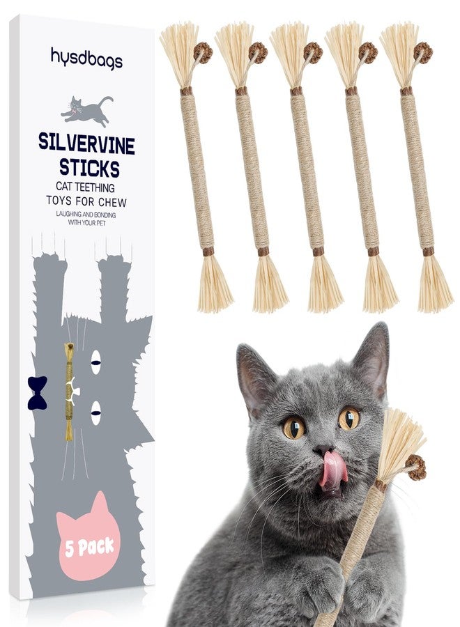 HYSDBAGS 5 Pack Silvervine Sticks Cat Toys, Natural Chew Kitten Teething Toys for Cleaning, Matatabi Catnip Treat Toys, Catmint Silver Vine Sticks for Bored Indoor Kitty - Image 1