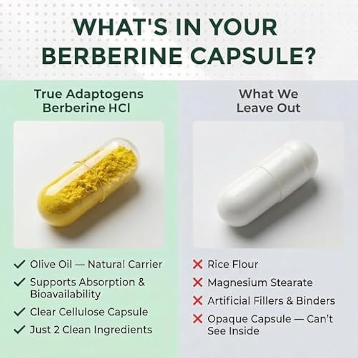 Berberine HCl 800mg – 97% Pure Dual Extract with Olive Oil for Absorption – Berberina Herbal Clean Formula - Image 2