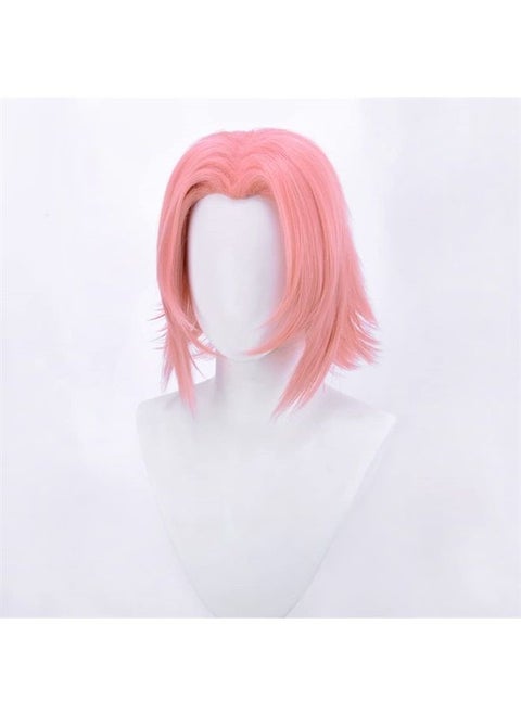 Cosplay Wig Anime Wig Costume Character Wig