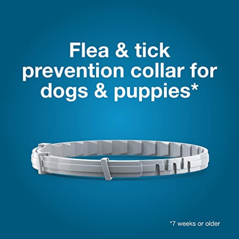 Seresto Small Dog Vet-Recommended Flea & Tick Treatment & Prevention Collar for Dogs Under 18 lbs. | 2 Pack - Image 4