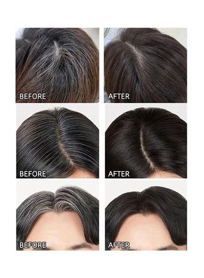 اوكيل تغطية الشعر الرمادي ، صبغة شعر مشط آمنة ومريحة ، مشط صبغ شعر مقاوم للماء والعرق ، عصا تصفيف الشعر الجنوبية الشرقية ، صبغة شعر نباتية طبيعية 2 في 1 ، تغطي الشعر الرمادي ، اللمسات السريعة - # 01 أسود (20 جم) - Image 2